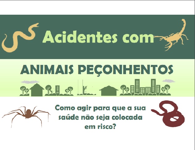 Acidentes com animais peconhentos.jpg